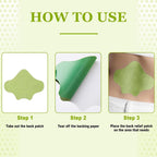 Herbal Knee Patches - Buy 1 Get 1 Free (10+10 Patches)